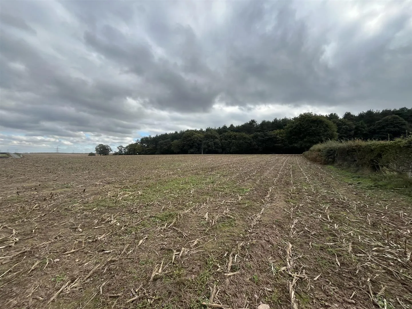 Lot B Land off B6030, Forestry Holdings, Kings Clipstone, Mansfield, NG21 9JL