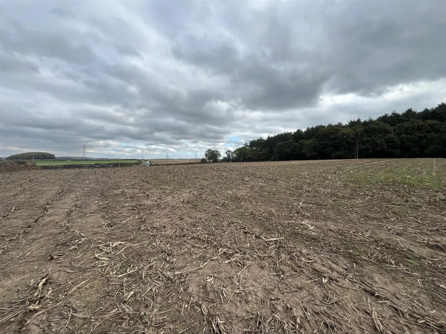 Lot B Land off B6030, Forestry Holdings, Kings Clipstone, Mansfield, NG21 9JL