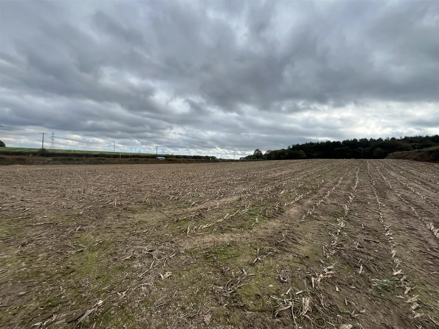Lot B Land off B6030, Forestry Holdings, Kings Clipstone, Mansfield, NG21 9JL
