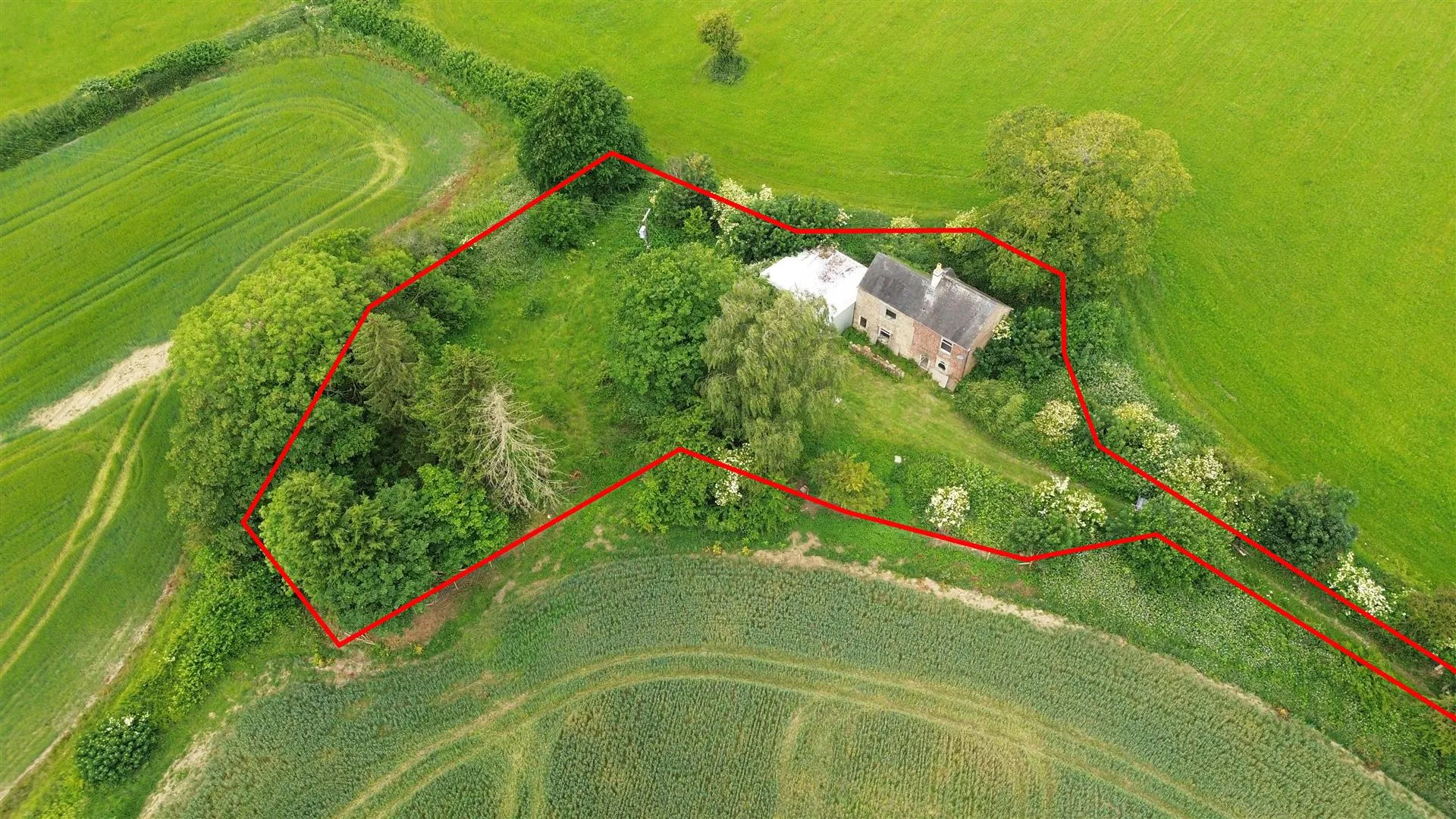 Hollyseat Cottage, Shottle, Belper, DE56 2EE