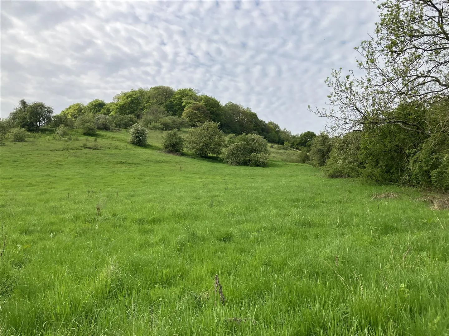 Land off, Brookfields, Calver, Calver, S32 3XB