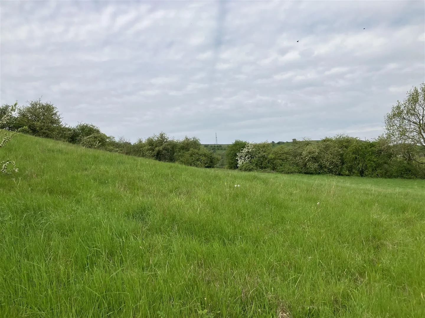 Land off, Brookfields, Calver, Calver, S32 3XB