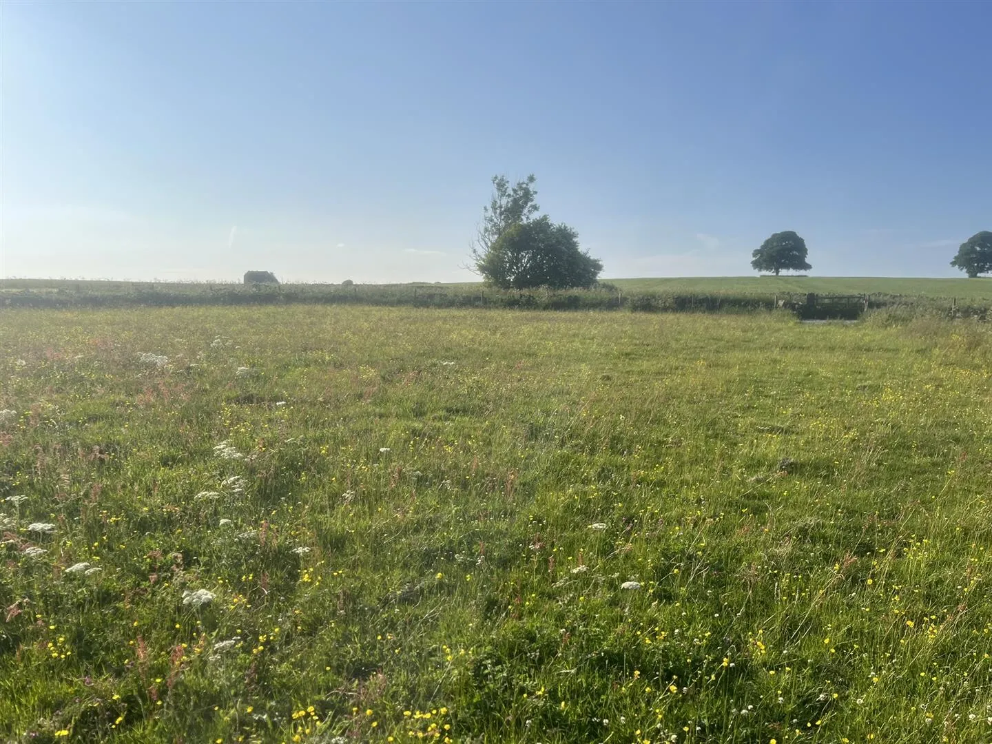 Lot B, Land at Elton Moor, Elton, Matlock, DE4 2PG