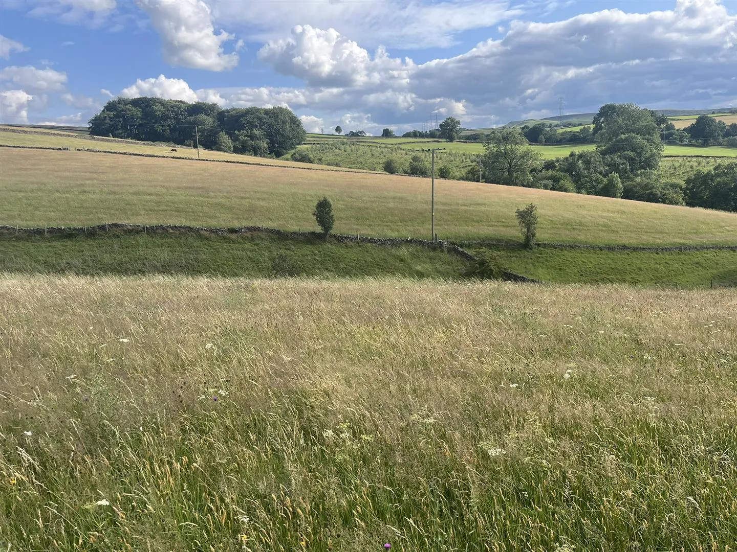 Land at, Blackbrook, Chapel en le Frith, SK23 0PU
