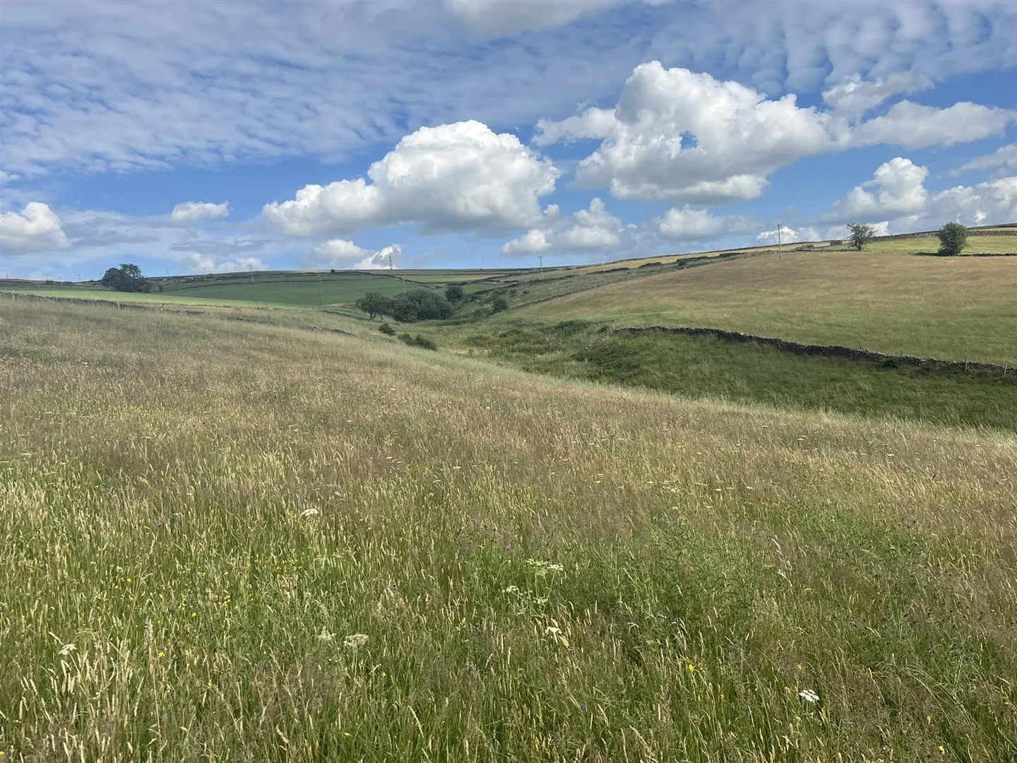 Land at, Blackbrook, Chapel en le Frith, SK23 0PU