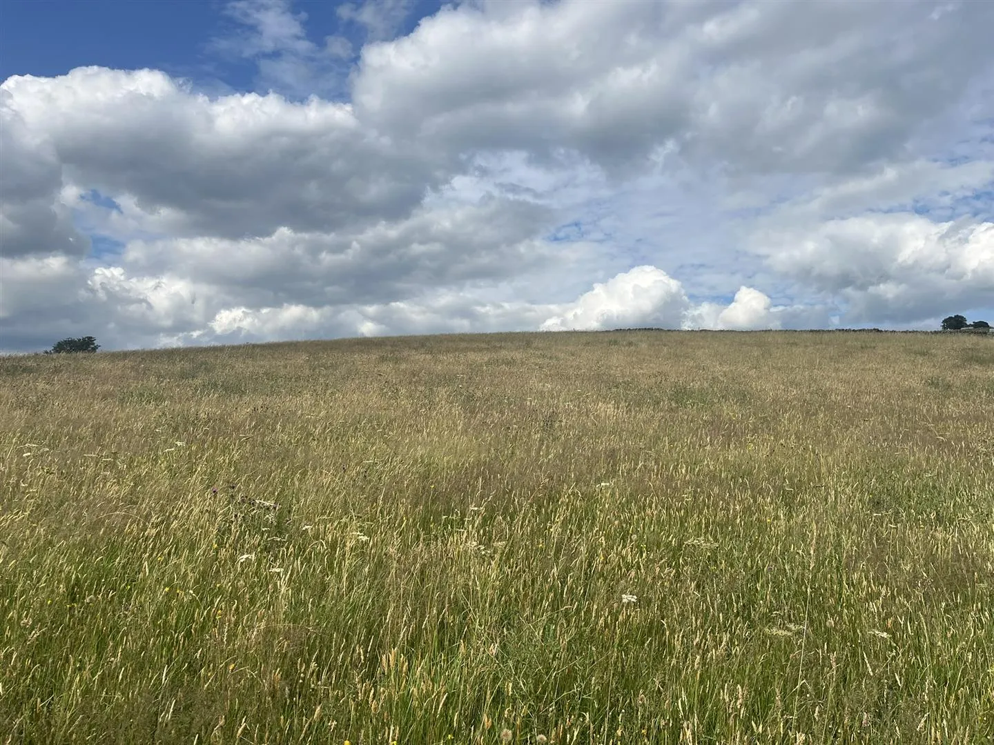 Land at, Blackbrook, Chapel en le Frith, SK23 0PU