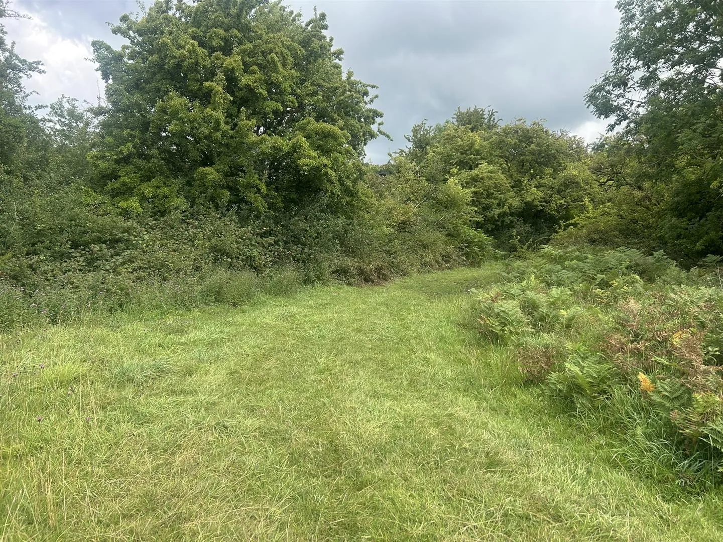 Land at Tearsall Farm, Bonsall Lane, Bonsall, Matlock, DE4 2PD