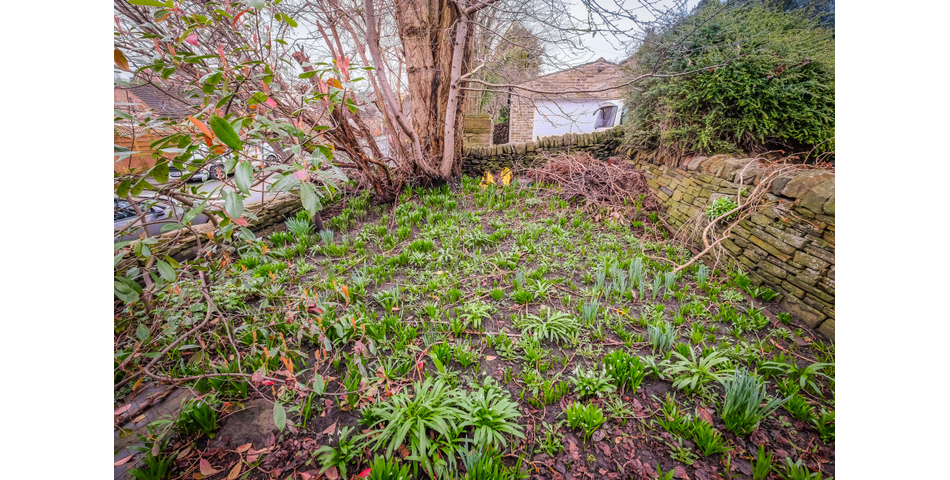 TWO BEDROOM TERRACE