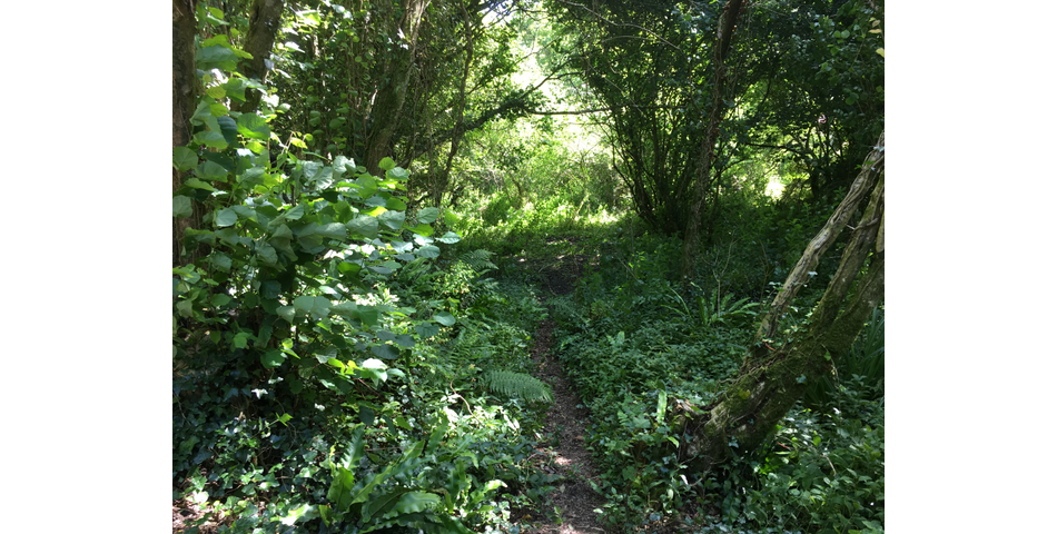 Bigbury