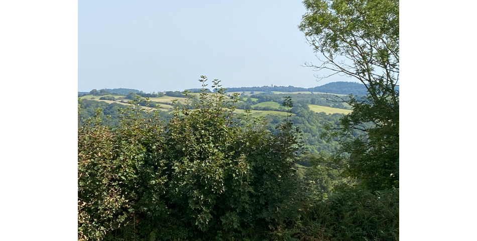 Land lying to the north of Commons Hill, Christow, Exeter EX6 7PG