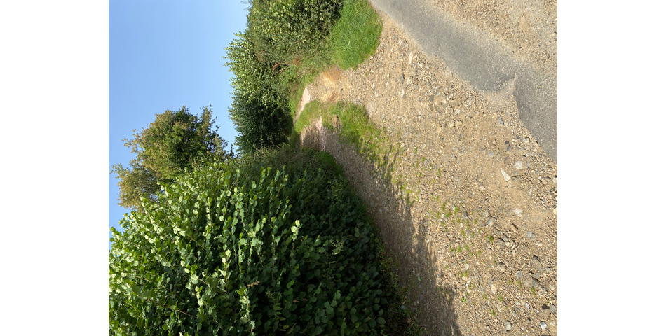 Land lying to the north of Commons Hill, Christow, Exeter EX6 7PG