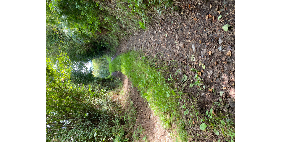 Land lying to the north of Commons Hill, Christow, Exeter EX6 7PG