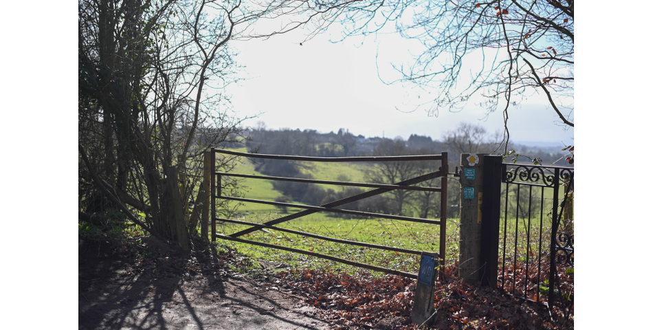Lot 2 - Land at Dagtail Lane, Astwood Bank