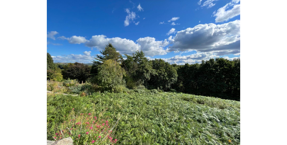 APPROX 2.197 ACRES OF LAND IN A PRIME LOCATION, A SUPERB PLOT OF WOODLAND AND PASTURE