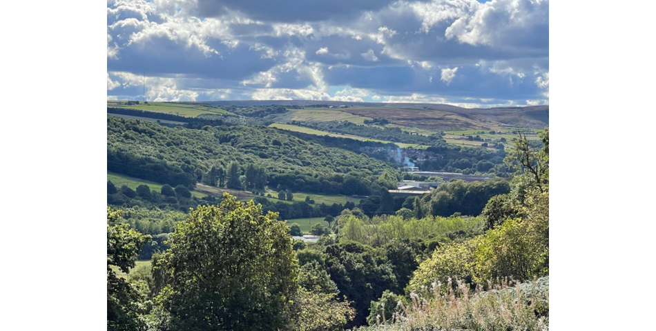 APPROX 2.197 ACRES OF LAND IN A PRIME LOCATION, A SUPERB PLOT OF WOODLAND AND PASTURE