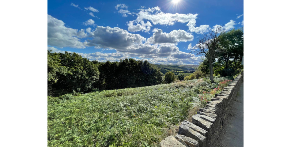 APPROX 2.197 ACRES OF LAND IN A PRIME LOCATION, A SUPERB PLOT OF WOODLAND AND PASTURE