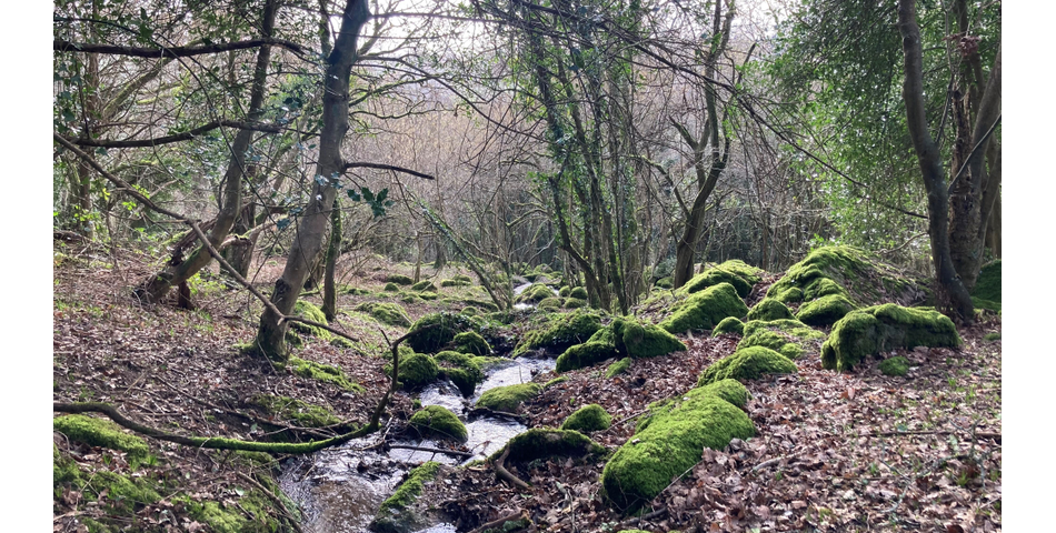 20.01 Acres of Land at Uppacott, Moretonhampstead