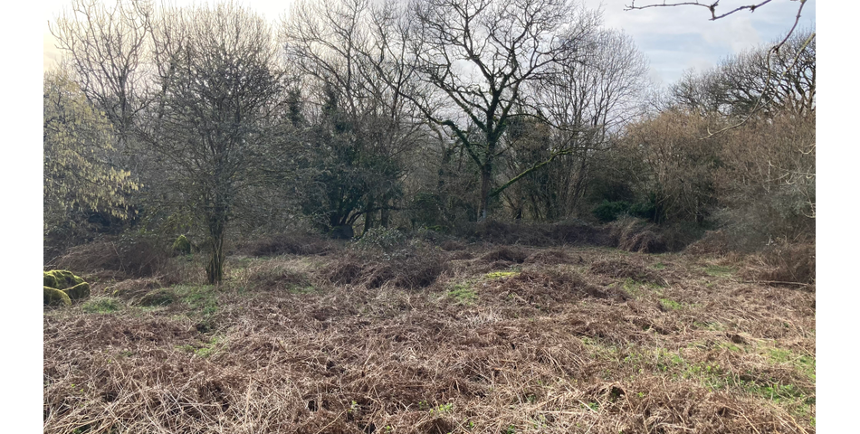 20.01 Acres of Land at Uppacott, Moretonhampstead