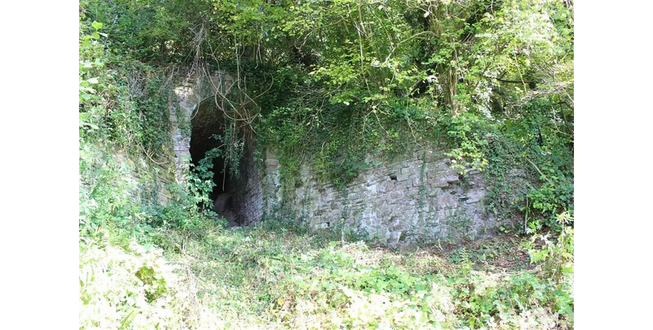 8 acres of restored ancient broadleaved woodland in the Wye Valley AONB