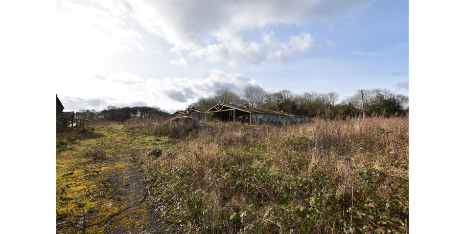 Kingsgate Farm