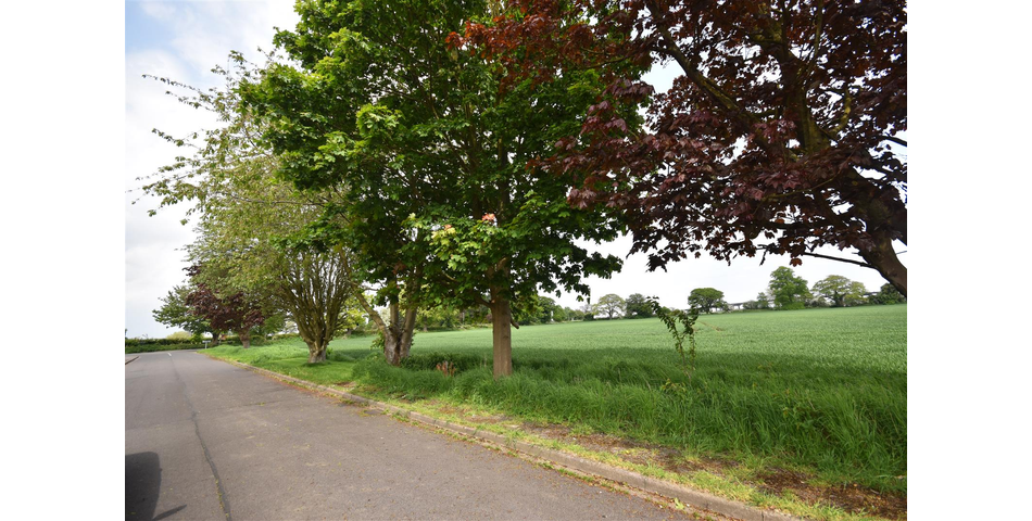 Beech Avenue, Airmyn