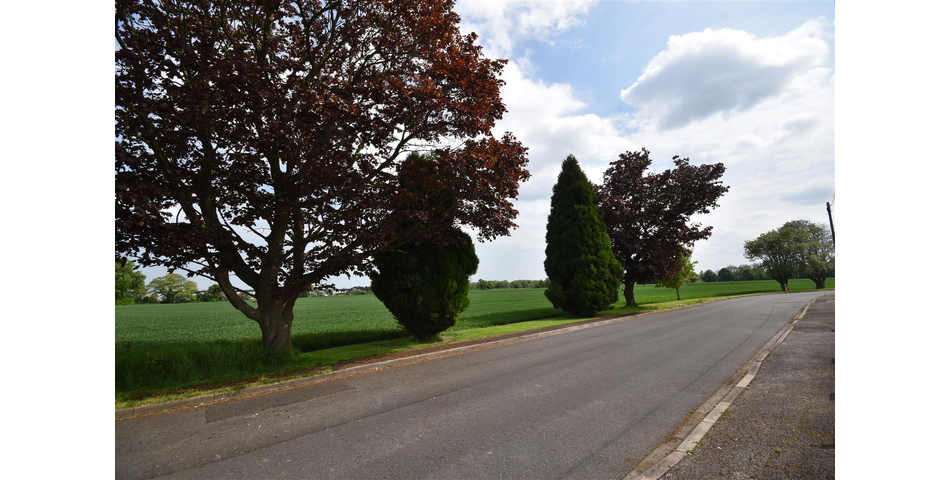 Beech Avenue, Airmyn