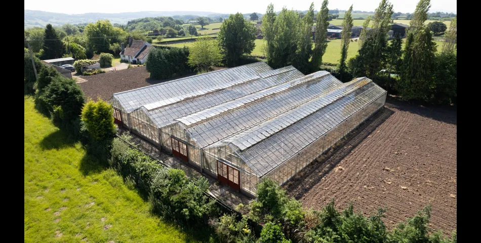 Thistledown Nursery