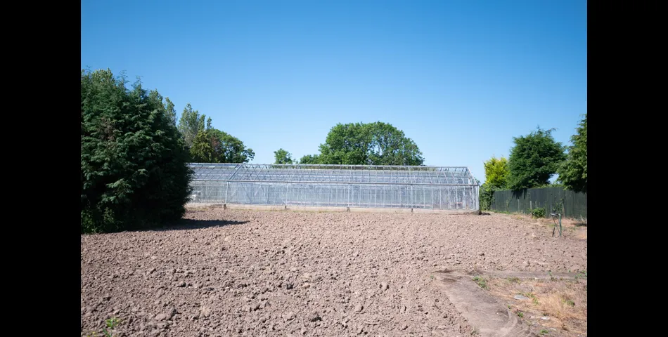 Thistledown Nursery
