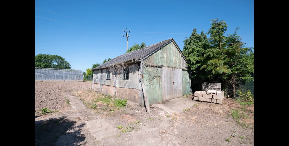 Thistledown Nursery