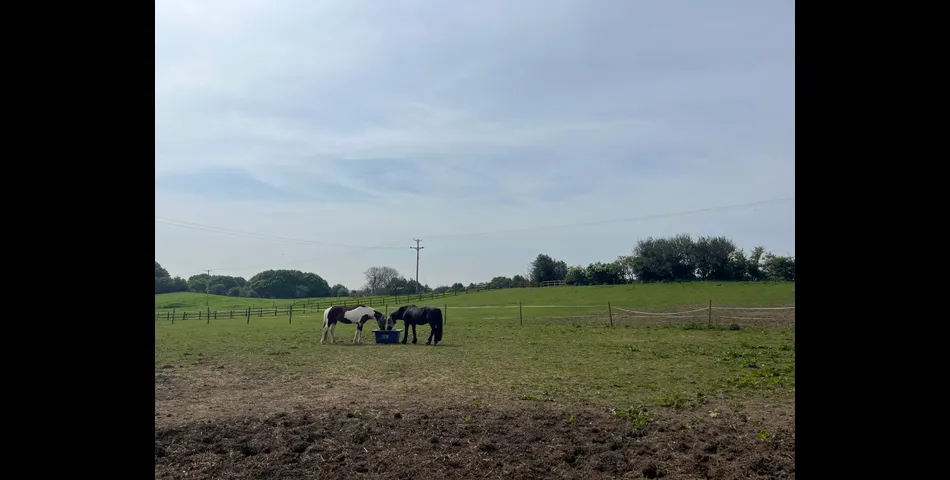 Equestrian Property off Oldbury Road, Hartshill, Nuneaton, CV10 0TJ
