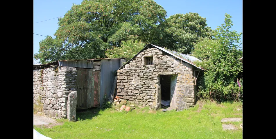 Bolatherick Farmhouse with meadow