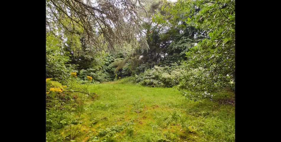 Three-Bedroom Semi Potential Building Plot In Need Of Refurbishment