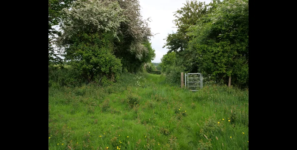 Primrose Barn, Littleton