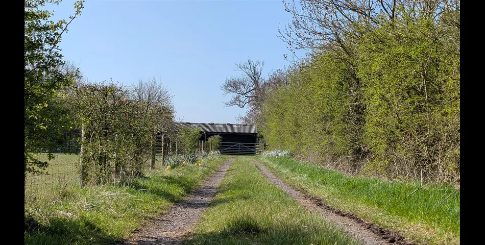 Kelly's Paddock, A5199, Welford, Northamptonshire, NN6 6JD