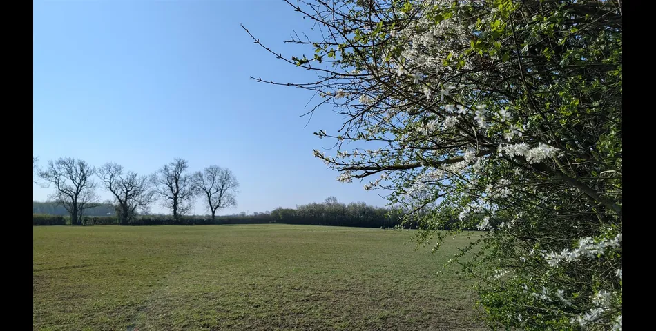 Kelly's Paddock, A5199, Welford, Northamptonshire, NN6 6JD