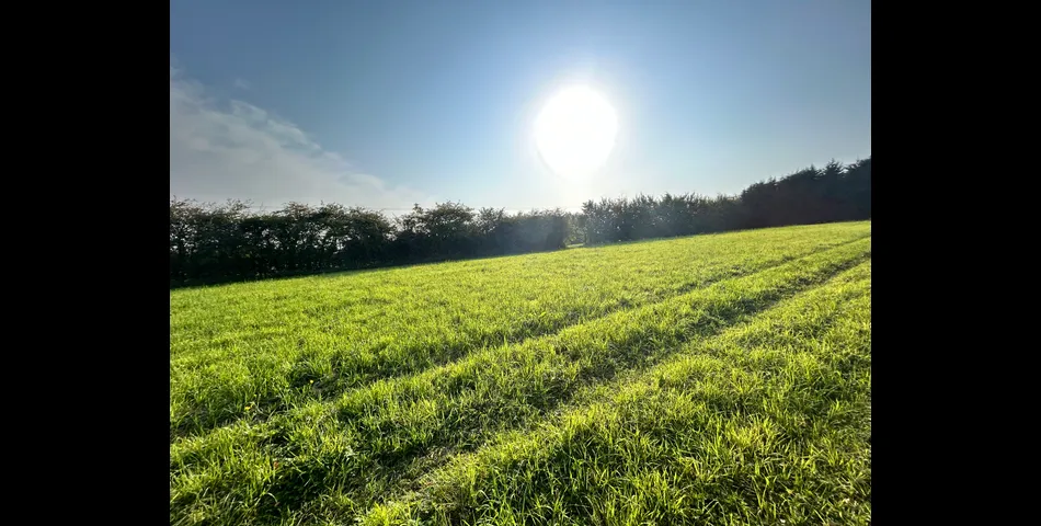 Land at Coleorton Lane, Packington 