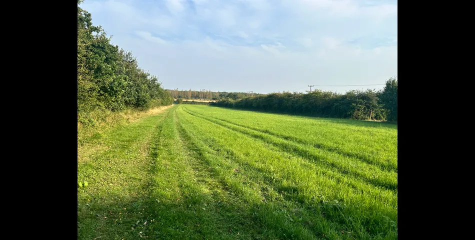 Land at Coleorton Lane, Packington 