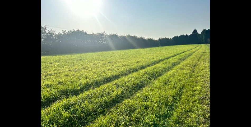Land at Coleorton Lane, Packington 