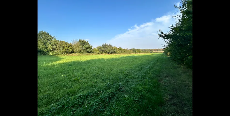 Land at Coleorton Lane, Packington 