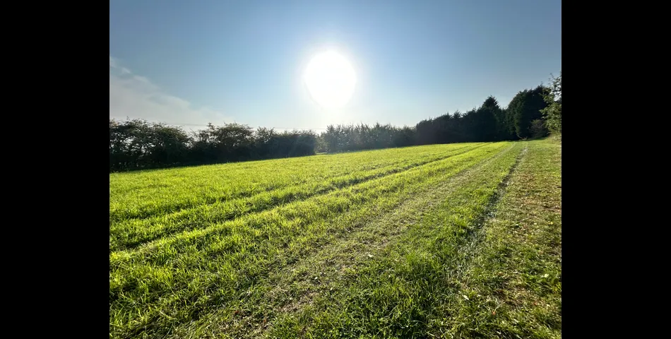 Land at Coleorton Lane, Packington 