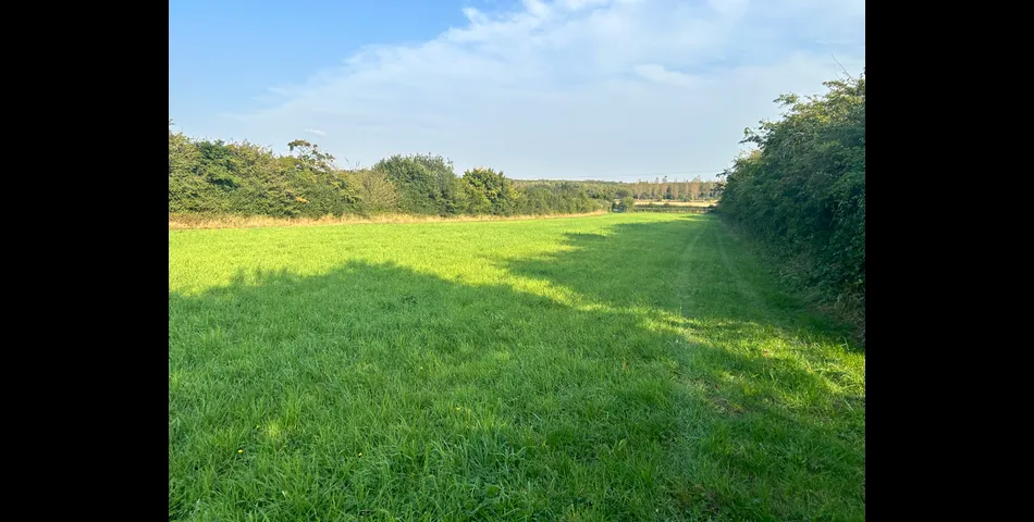 Land at Coleorton Lane, Packington 