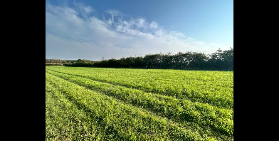 Land at Coleorton Lane, Packington 