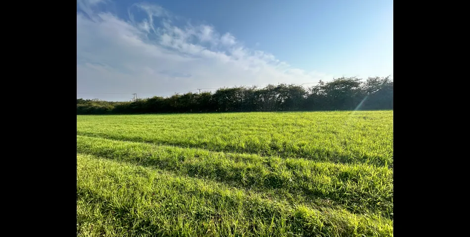Land at Coleorton Lane, Packington 
