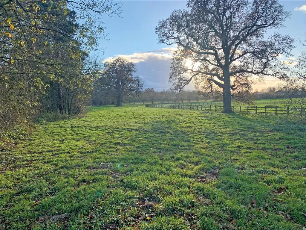 Paddock off, Kettle Green Lane, MUCH HADHAM, Hertfordshire, SG10 6AJ