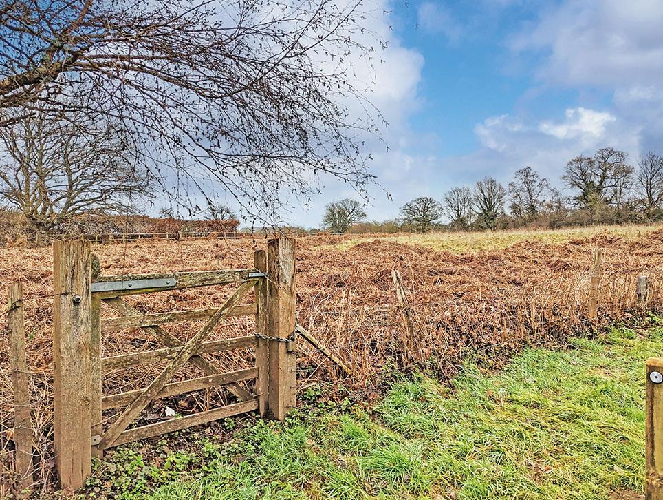 Plot A, Sutton Place, DORKING, Surrey, RH5 6RP