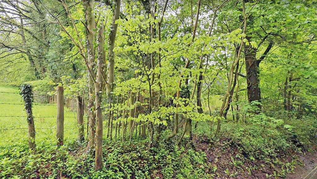 Land on, Long Lane, RICKMANSWORTH, Hertfordshire, WD3 5DH