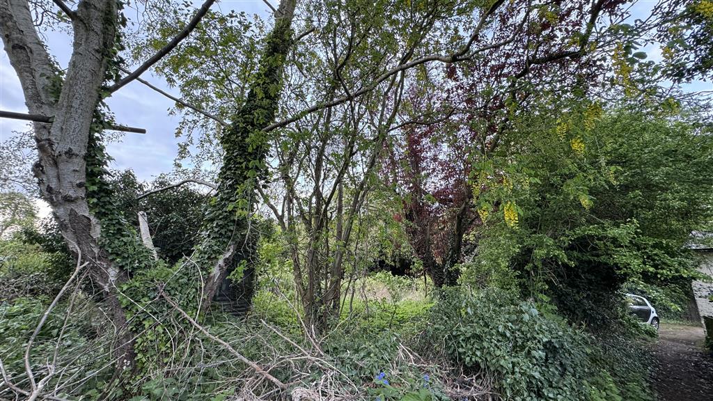 Land North of, 240, Hertingfordbury Road, HERTFORD, Hertfordshire, SG14 2LG