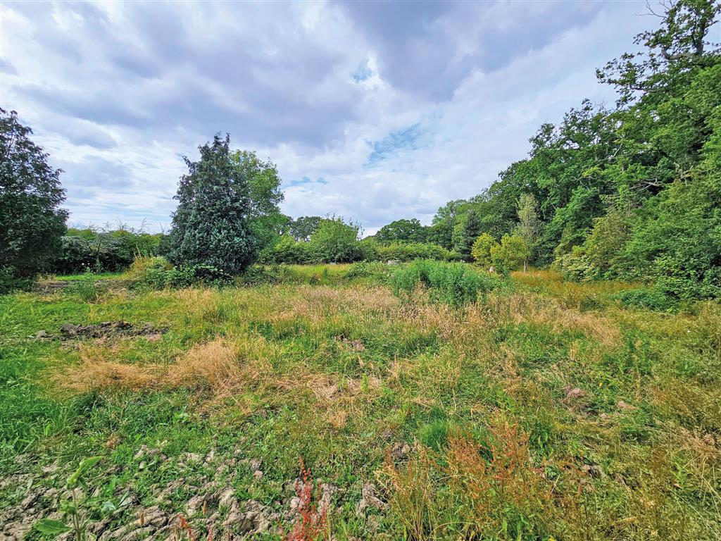 Development Site adj. Long Garden Cottage, Winchester Road, SOUTHAMPTON, Hampshire, SO32 2BX