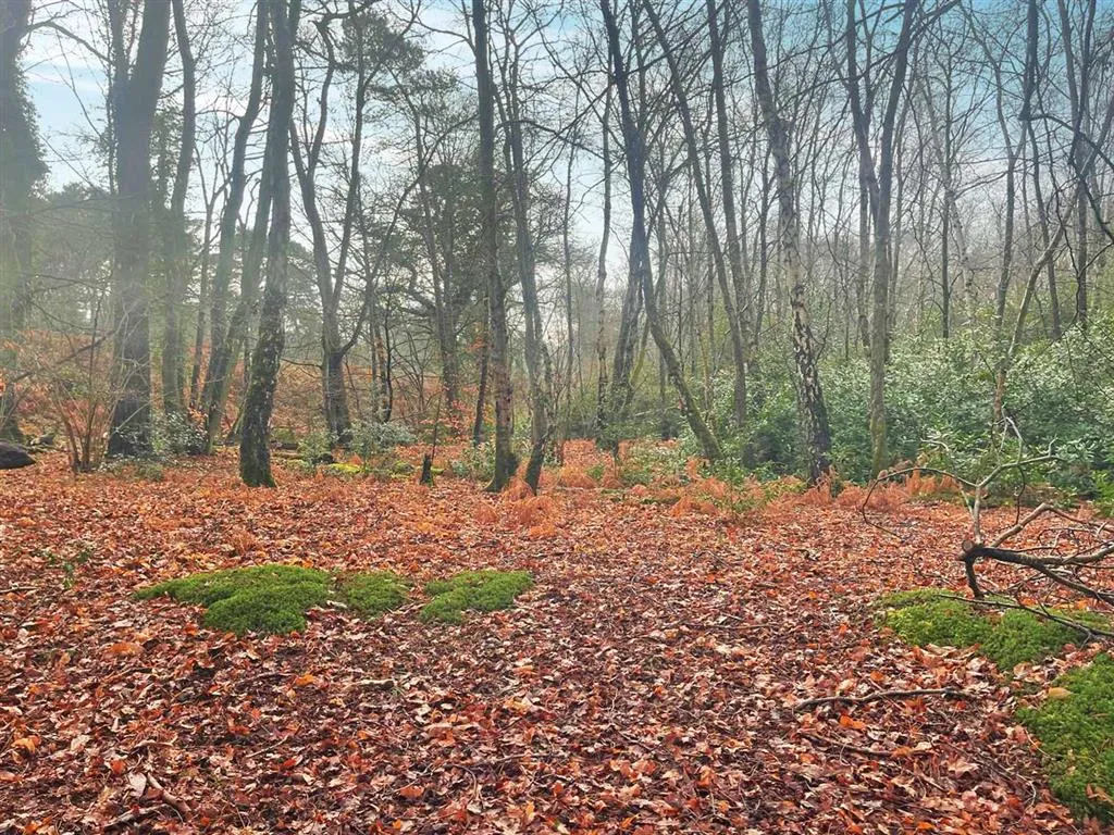 Plot 5, Land North of, Culmer Lane, GODALMING, Surrey, GU8 5SP