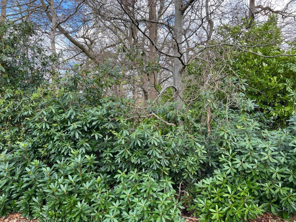 Property cover